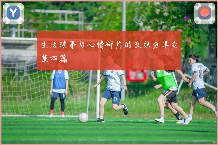 生活琐事与心情碎片的交织分享合集四篇